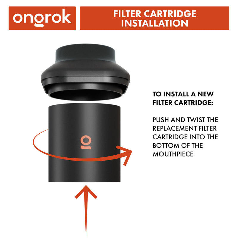 Smoke Filter with Replaceable Cartridges